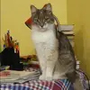 Отзыв от София Балашова